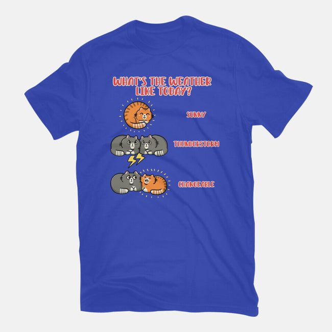 Meoweather-Mens-Heavyweight-Tee-Freecheese