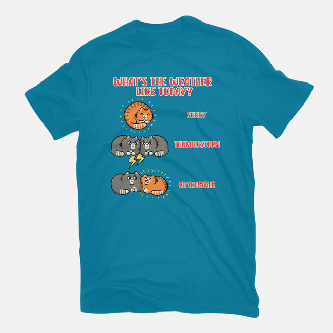 Meoweather-Mens-Premium-Tee-Freecheese