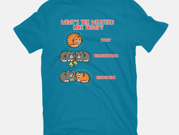 Meoweather