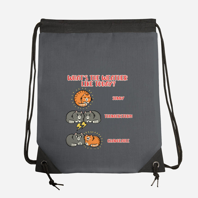 Meoweather-None-Drawstring-Bag-Freecheese