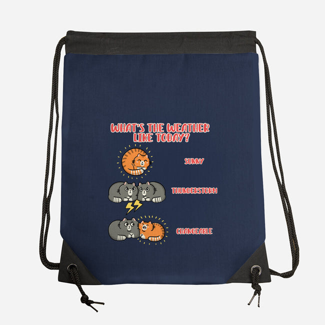 Meoweather-None-Drawstring-Bag-Freecheese