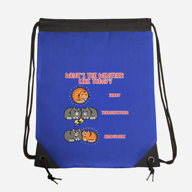 Meoweather-None-Drawstring-Bag-Freecheese