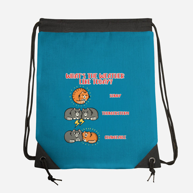 Meoweather-None-Drawstring-Bag-Freecheese