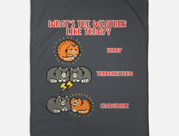 Meoweather