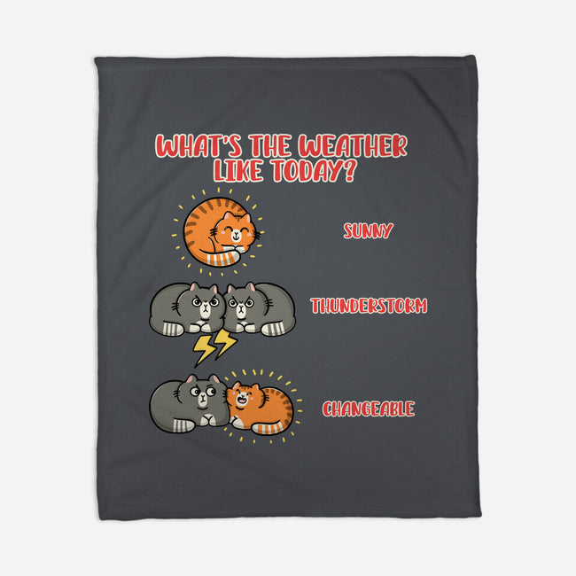 Meoweather-None-Fleece-Blanket-Freecheese