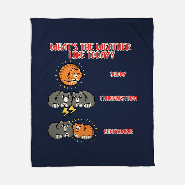 Meoweather-None-Fleece-Blanket-Freecheese