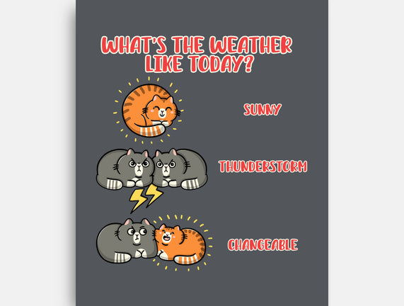 Meoweather