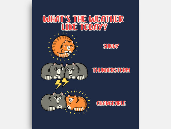 Meoweather