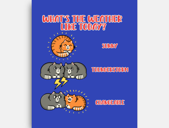Meoweather