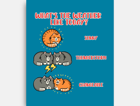 Meoweather
