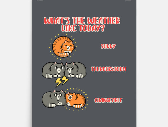 Meoweather