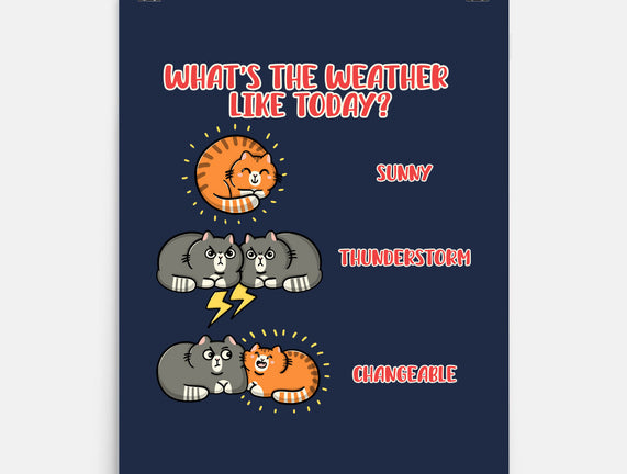 Meoweather