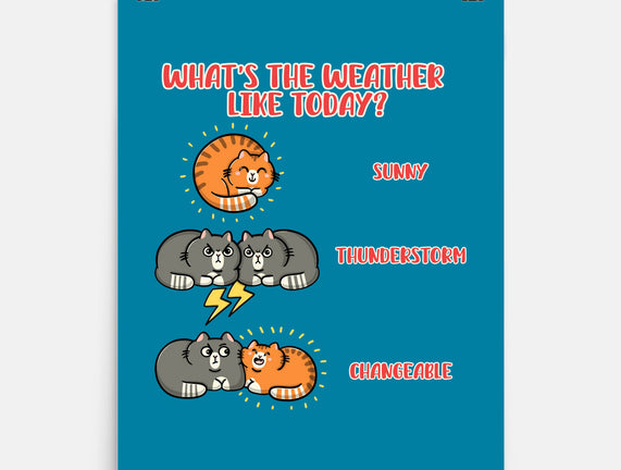 Meoweather