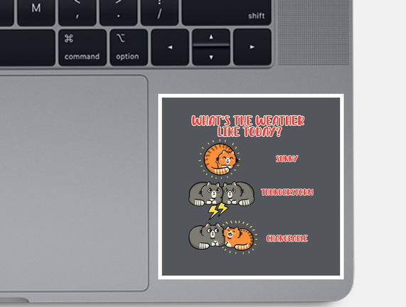 Meoweather