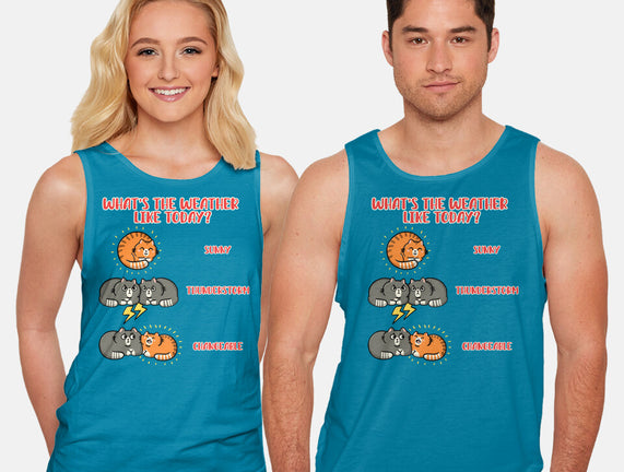 Meoweather