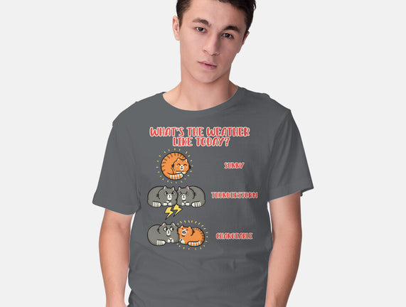 Meoweather