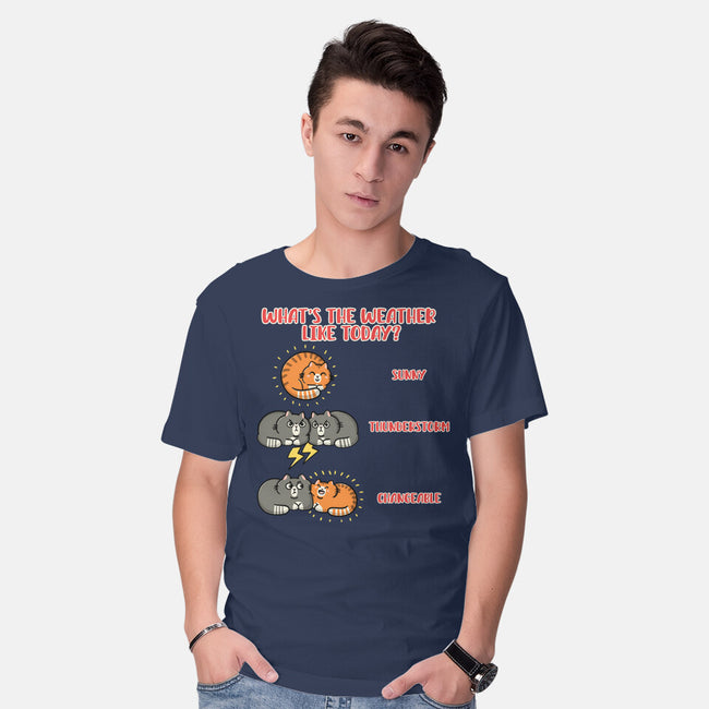 Meoweather-Mens-Basic-Tee-Freecheese