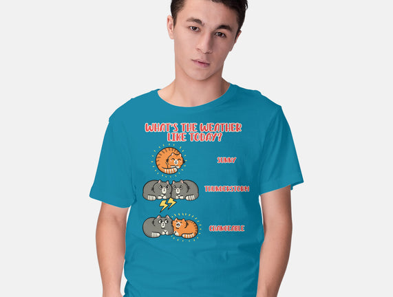 Meoweather