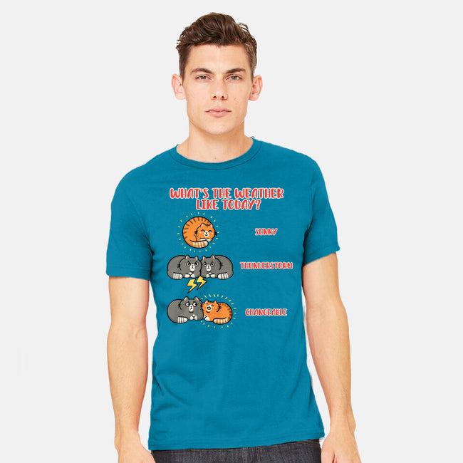 Meoweather-Mens-Heavyweight-Tee-Freecheese