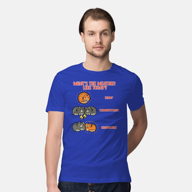 Meoweather-Mens-Premium-Tee-Freecheese