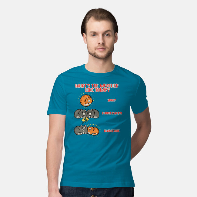 Meoweather-Mens-Premium-Tee-Freecheese