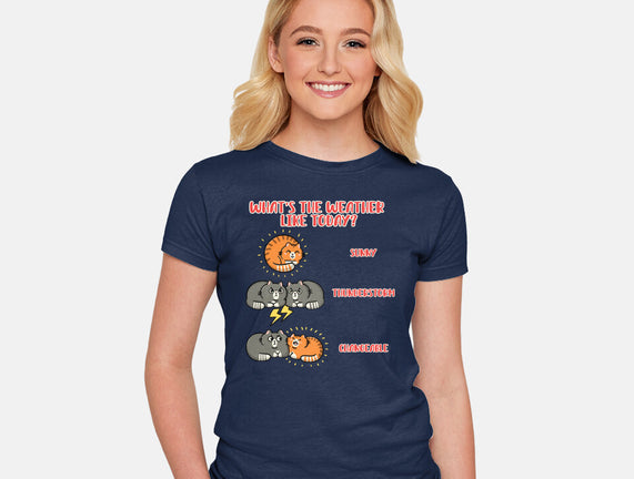 Meoweather