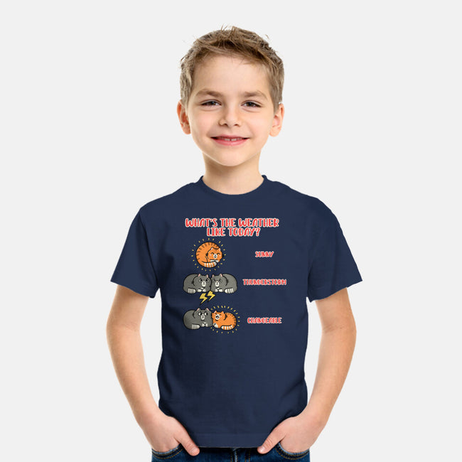 Meoweather-Youth-Basic-Tee-Freecheese