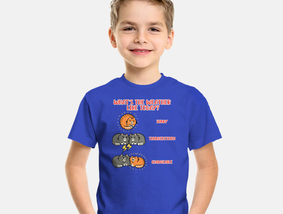 Meoweather