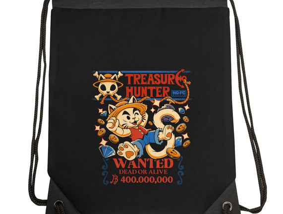 Treasure Hunter