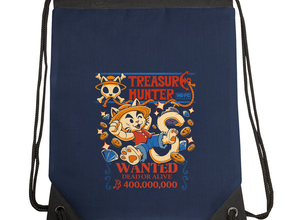 Treasure Hunter