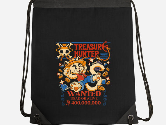 Treasure Hunter