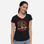 And That's All Hoax-Womens-V-Neck-Tee-turborat14