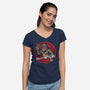 And That's All Hoax-Womens-V-Neck-Tee-turborat14
