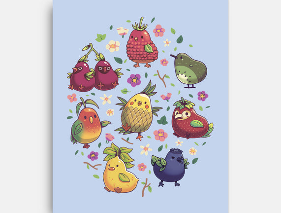 Birb Macedonia