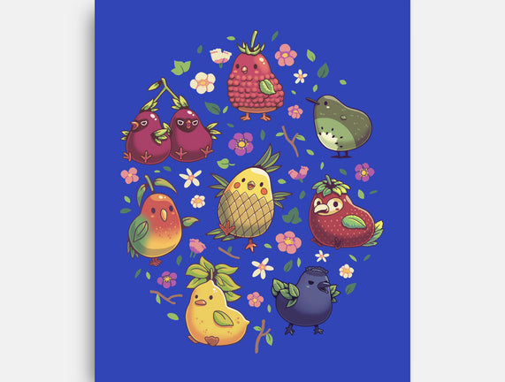 Birb Macedonia