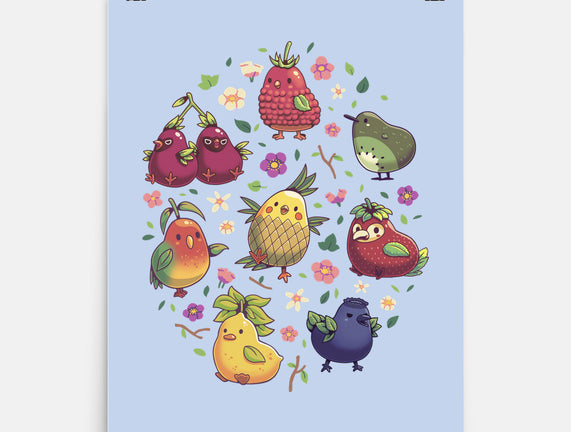 Birb Macedonia