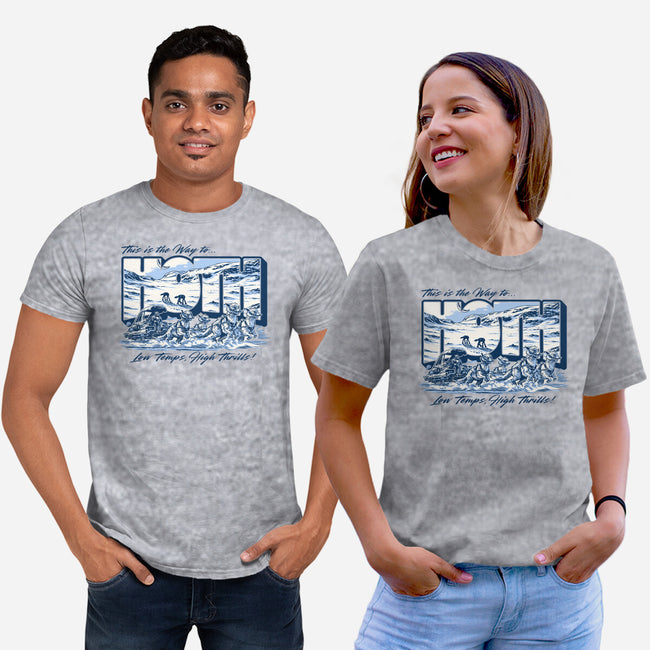 Low Temp High Thrills-Unisex-Basic-Tee-Wheels