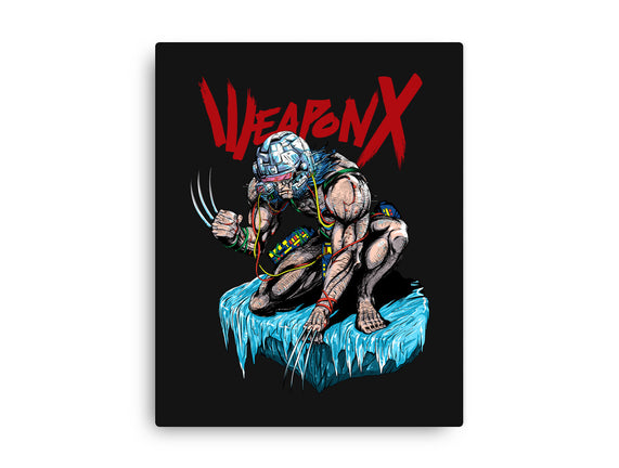 Berserker Weapon X