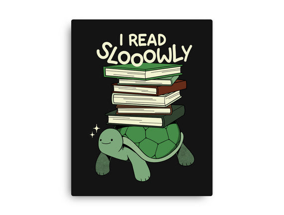 Slow Reader Turtle Books