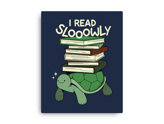 Slow Reader Turtle Books