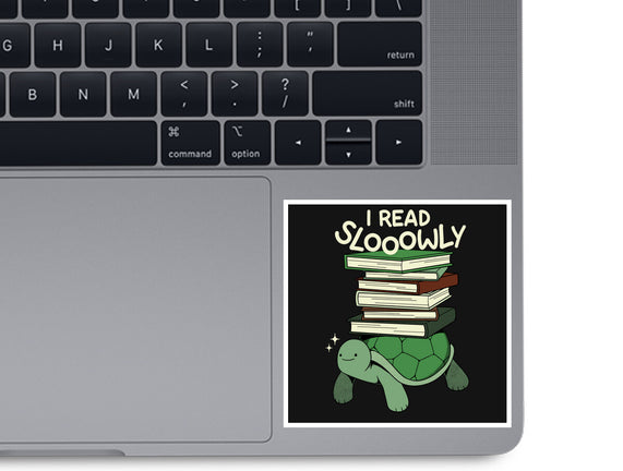 Slow Reader Turtle Books