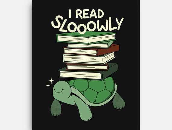 Slow Reader Turtle Books