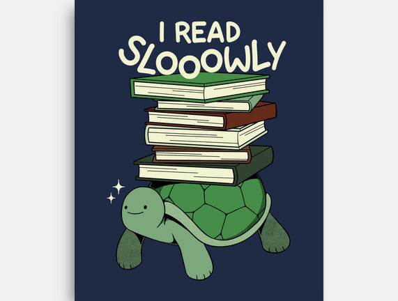 Slow Reader Turtle Books