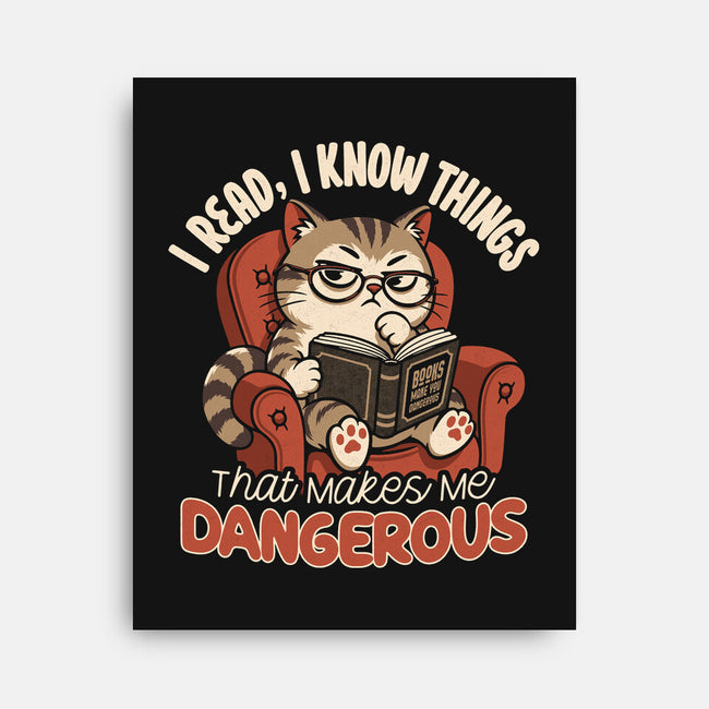 Books Make You Dangerous-None-Stretched-Canvas-Popnotic