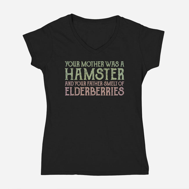 Questionable Heritage-Womens-V-Neck-Tee-kg07