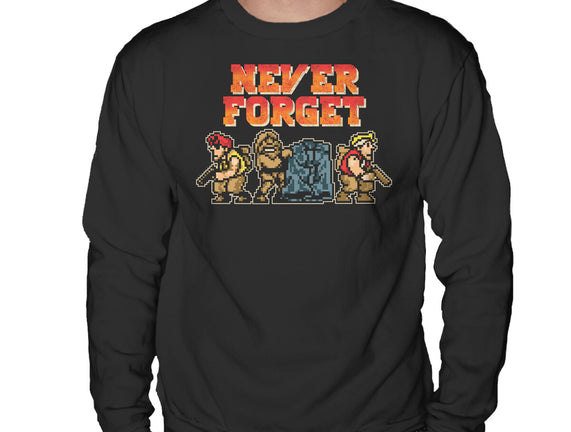 Never Forget Metal Slug