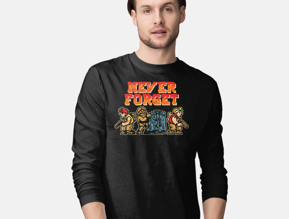 Never Forget Metal Slug