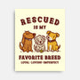 Rescued Is My Favorite Breed-None-Stretched-Canvas-kg07