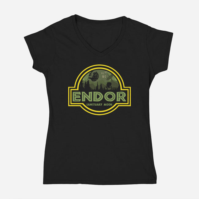 Endor Park-Womens-V-Neck-Tee-turborat14