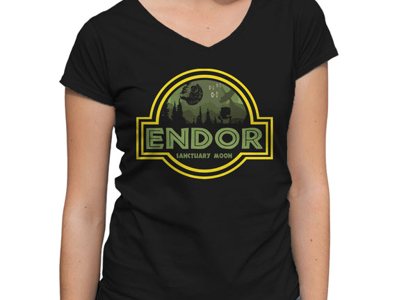 Endor Park